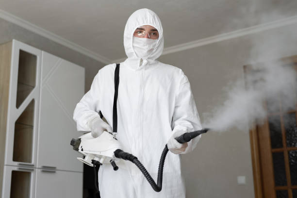  , USA Mold Removal Services Pros